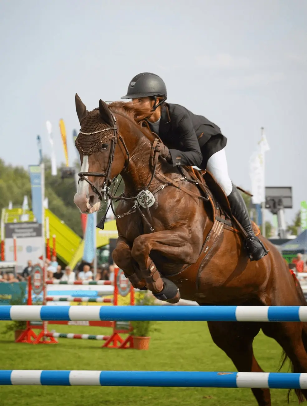 A show jumper on a chestnut horse clearing a fence.