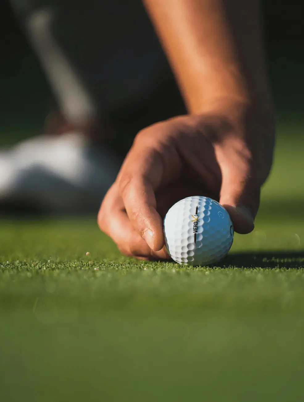 A golfer's hand setting a ball down on the grass, close up.